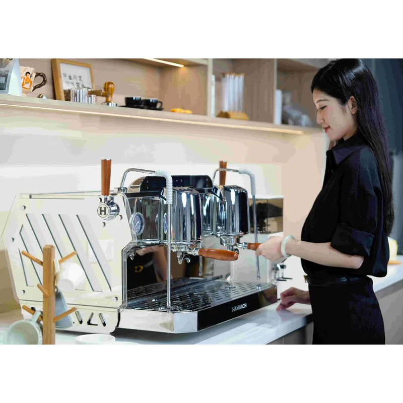 Profesjonalna ekspresowa maszy – Commercial Espresso Machine 2 Group recenzja i cena