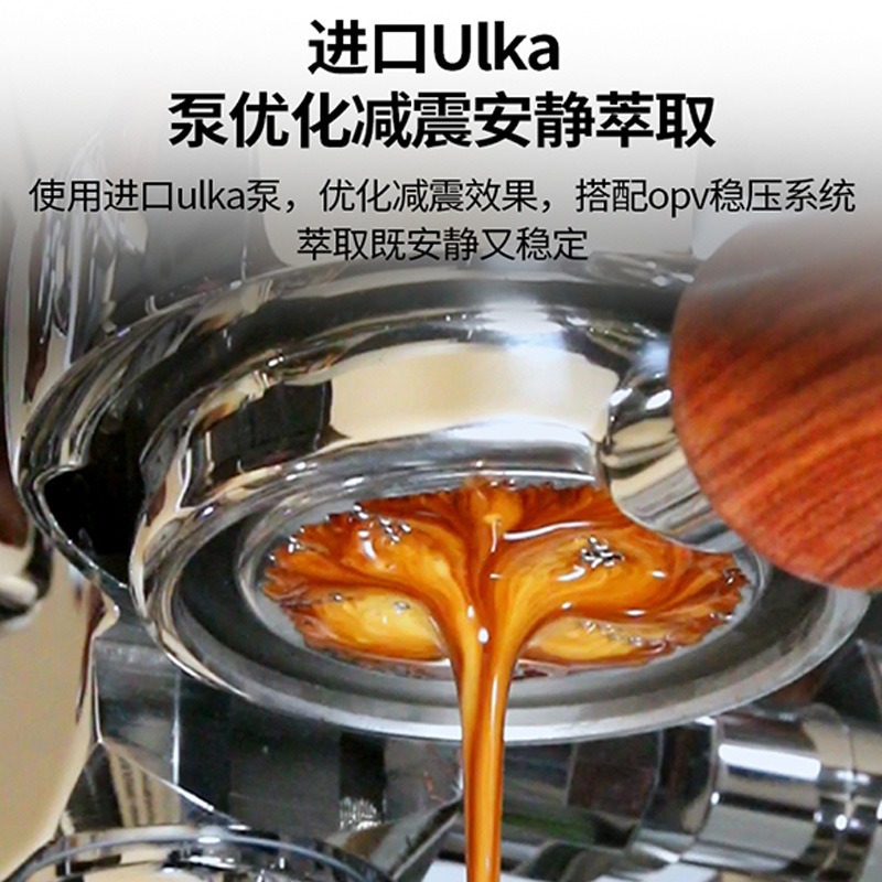 Luksusowy 1-grupowy ekspres do – Espresso Machine 1 Group E61 recenzja i cena